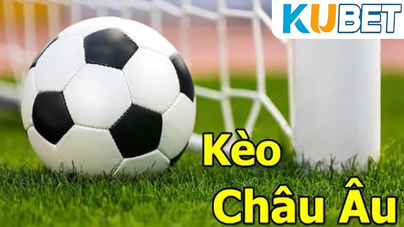 Tỷ lệ Kèo Châu Âu Kubet: Tìm Hiểu Cách Đặt Cược Kèo Hiệu Quả 3 Các lưu ý khi đặt cược Tỷ lệ Kèo Châu Âu Kubet